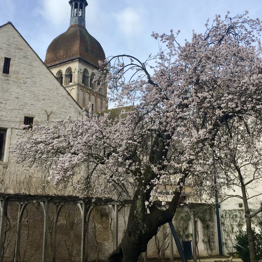 2-Hour Beaune Walking Tour with Burgundy Wine Heritage