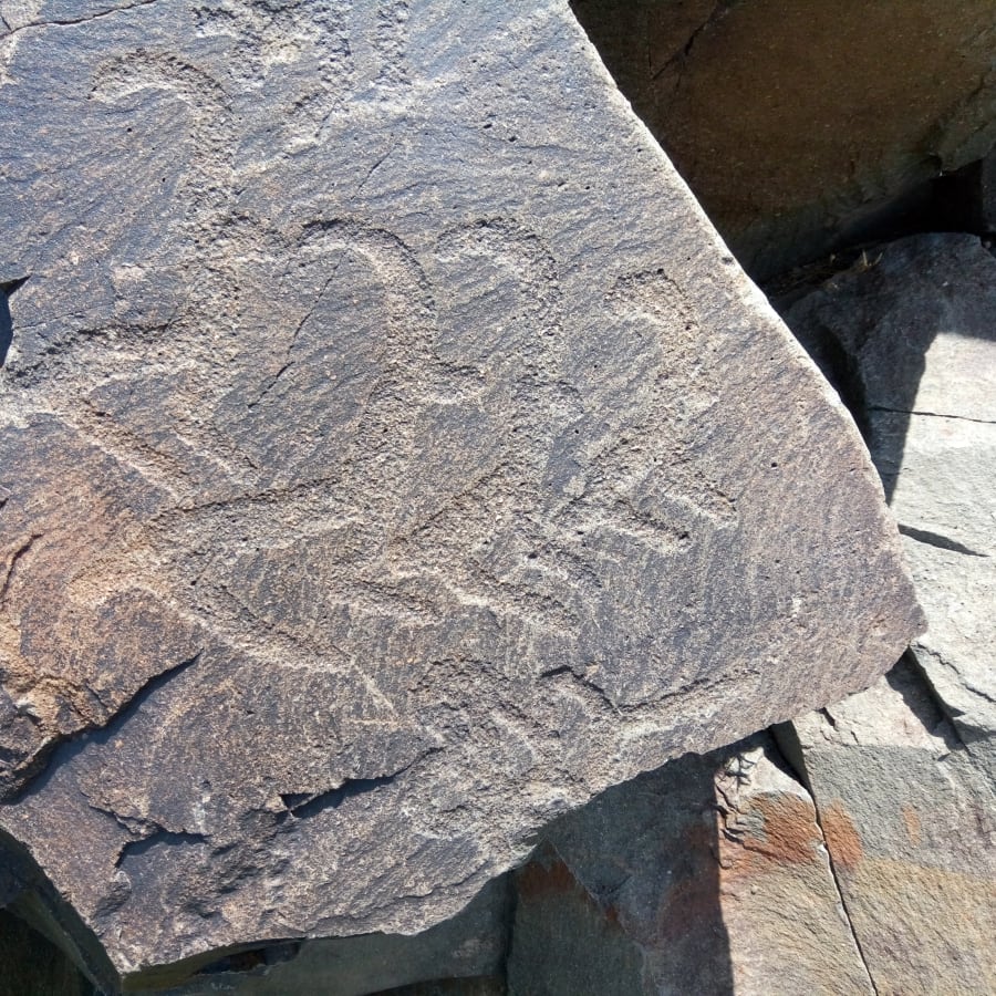 8-Hour Tamgaly Rock Art Tour from Almaty with UNESCO Petroglyphs