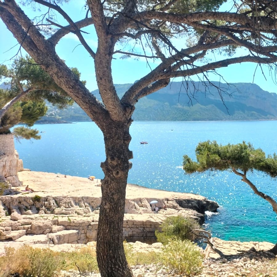 7-Hour Provence Private Tour with Cassis Calanques and Wine Tasting