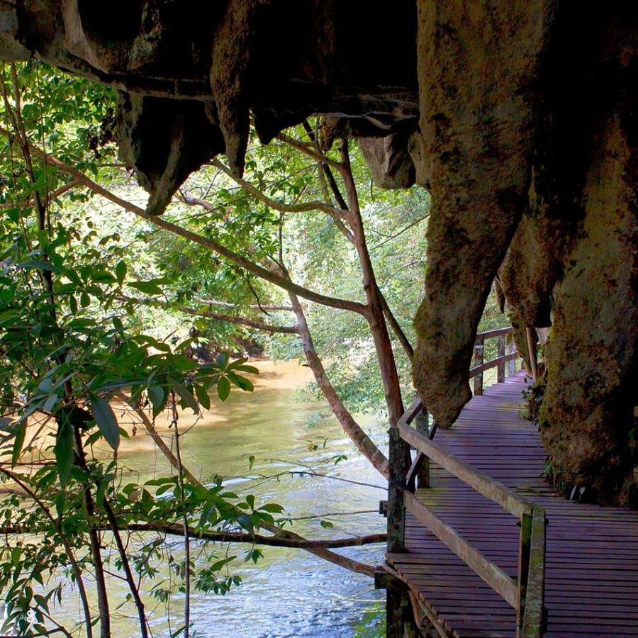 3-Day Caving Adventure in Gunung Mulu National Park with Penan Visit