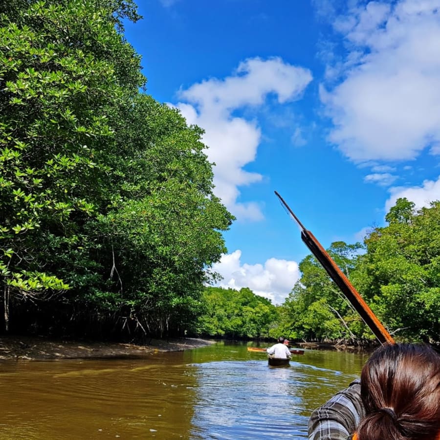 2-Hour Canoeing Tour in Limpaki Wetland National Park