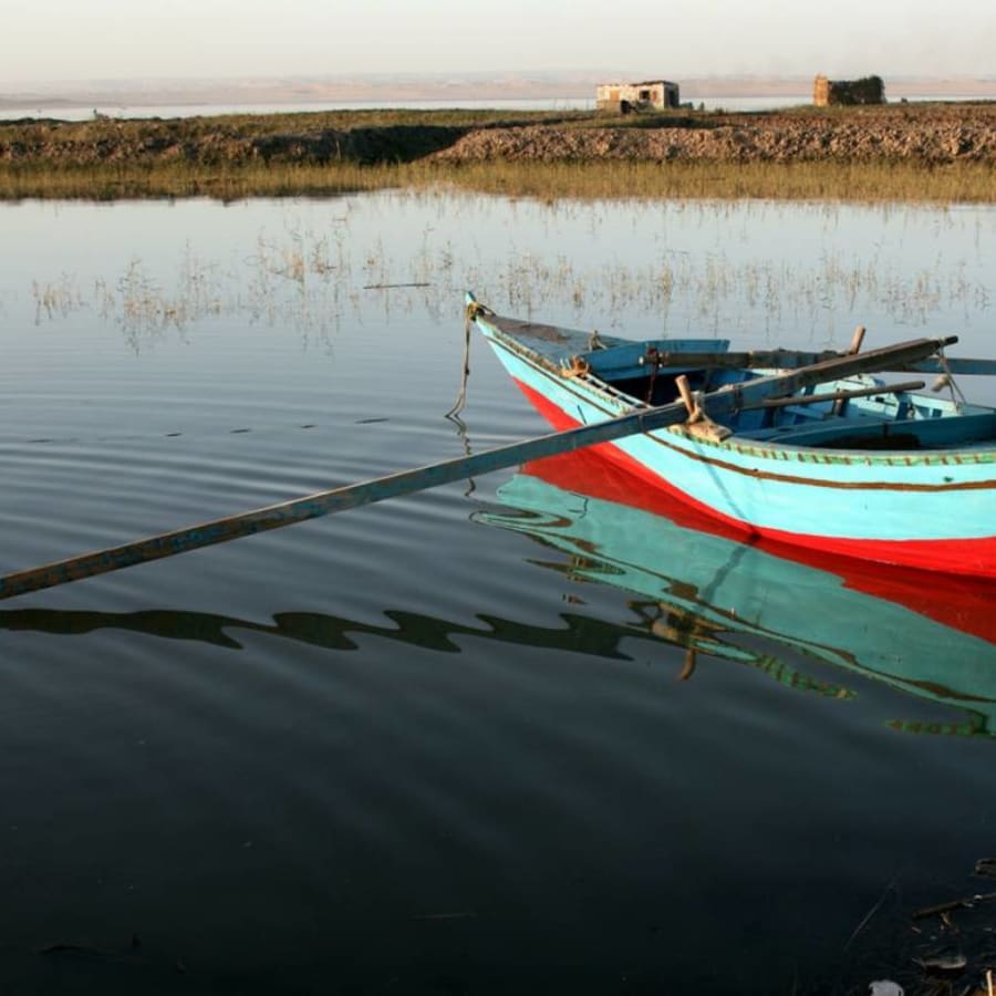 12-Hour Fayoum Oasis Tour from Cairo with Wadi El-Hitan and Sandboarding