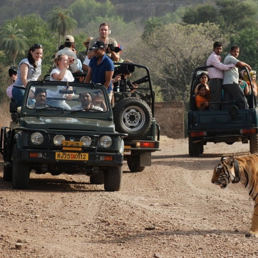 7-Day Golden Triangle and Ranthambore Tour with Taj Mahal Safari