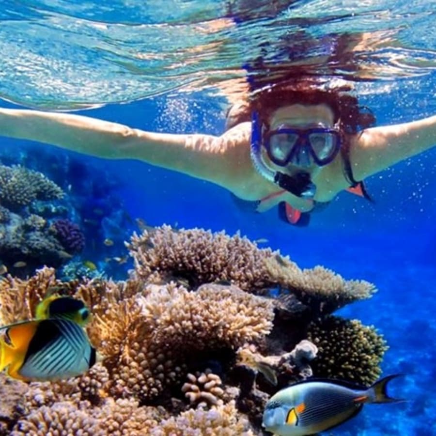 7-Hour Ras Mohamed National Park Snorkeling Cruise from Sharm El Sheikh