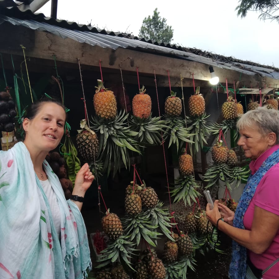 1-Day Bandung Volcano Tour from Jakarta with Waterfall and Hot Spring