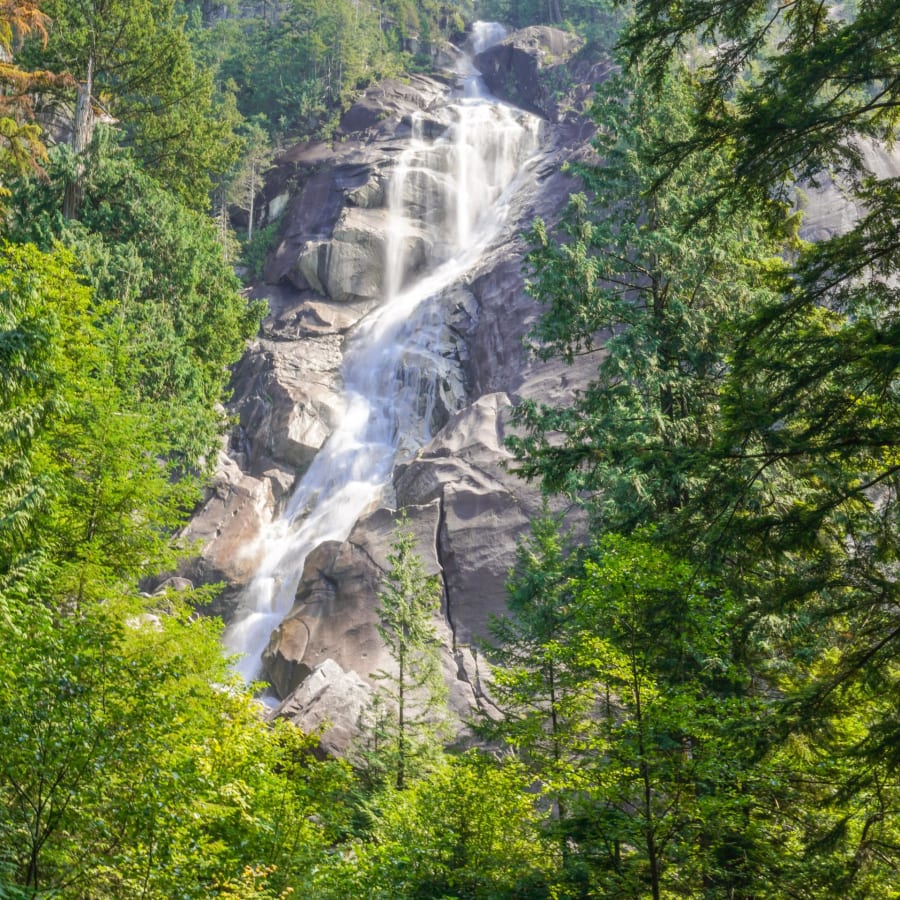 10-Hour Whistler and Shannon Falls Tour with First Nations Heritage