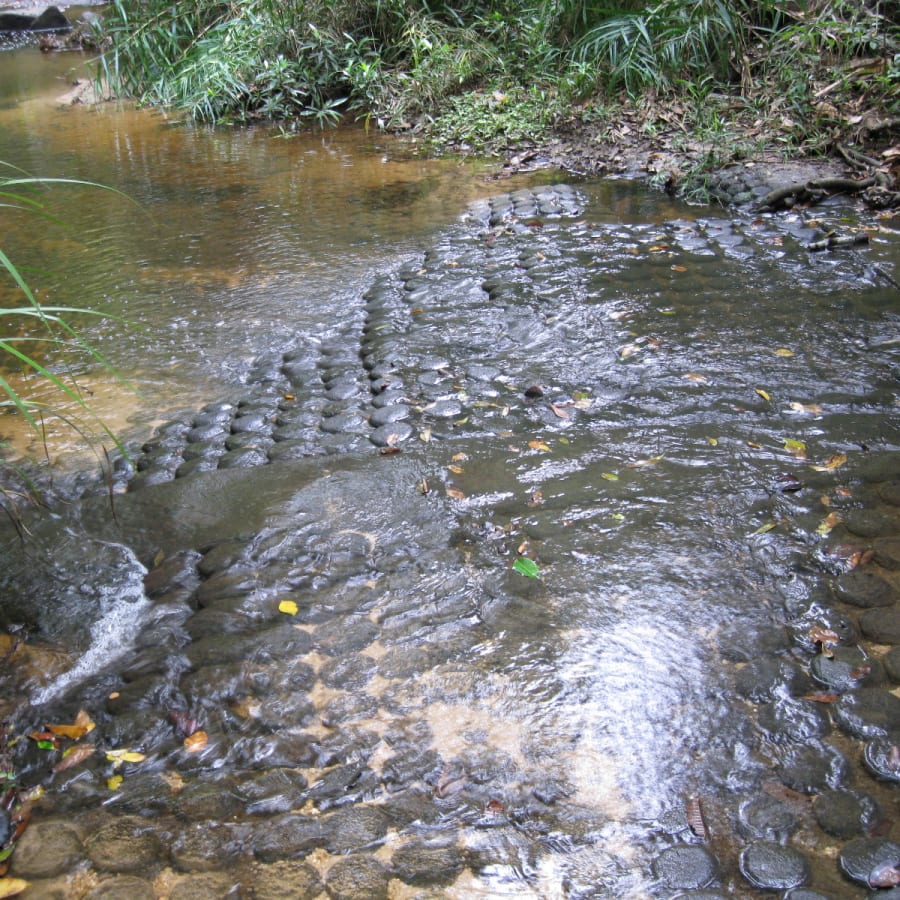 Full-Day Temple Tour in Siem Reap with Kbal Spean and Banteay Srei