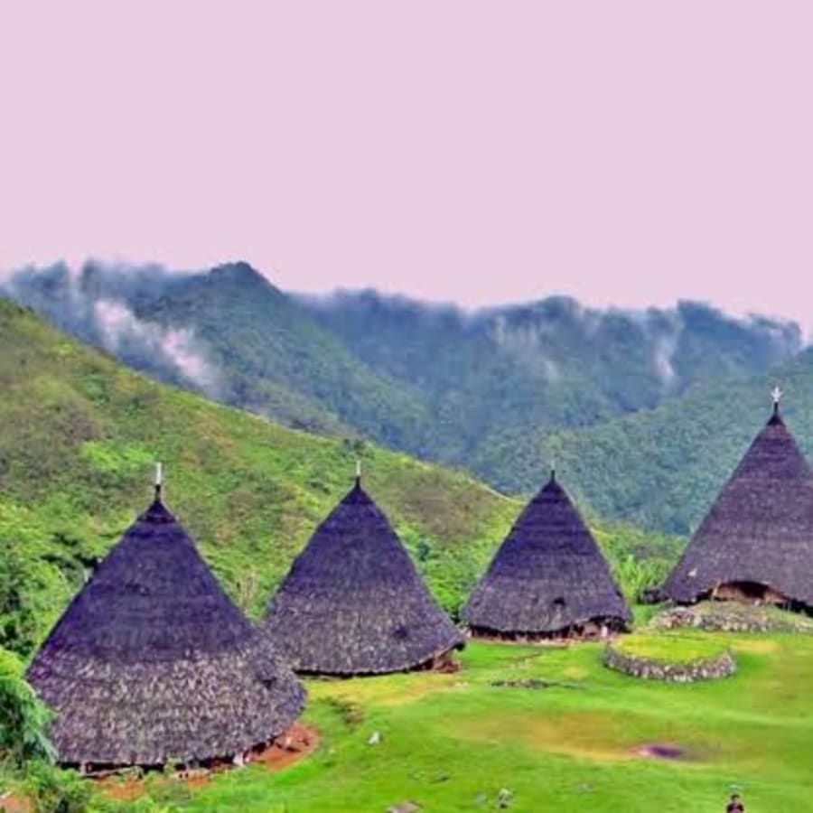 3-Day Flores Cultural Tour to Wae Rebo, Liang Bua and Lodok Spider Web Ricefield