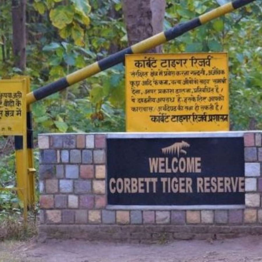 3-Day Jim Corbett National Park Safari from Delhi with Resort Stay