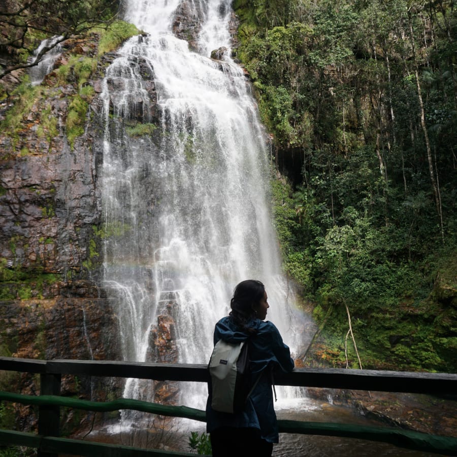 Tour de 3 horas a Los Tucanes con cascadas y senderos ecológicos
