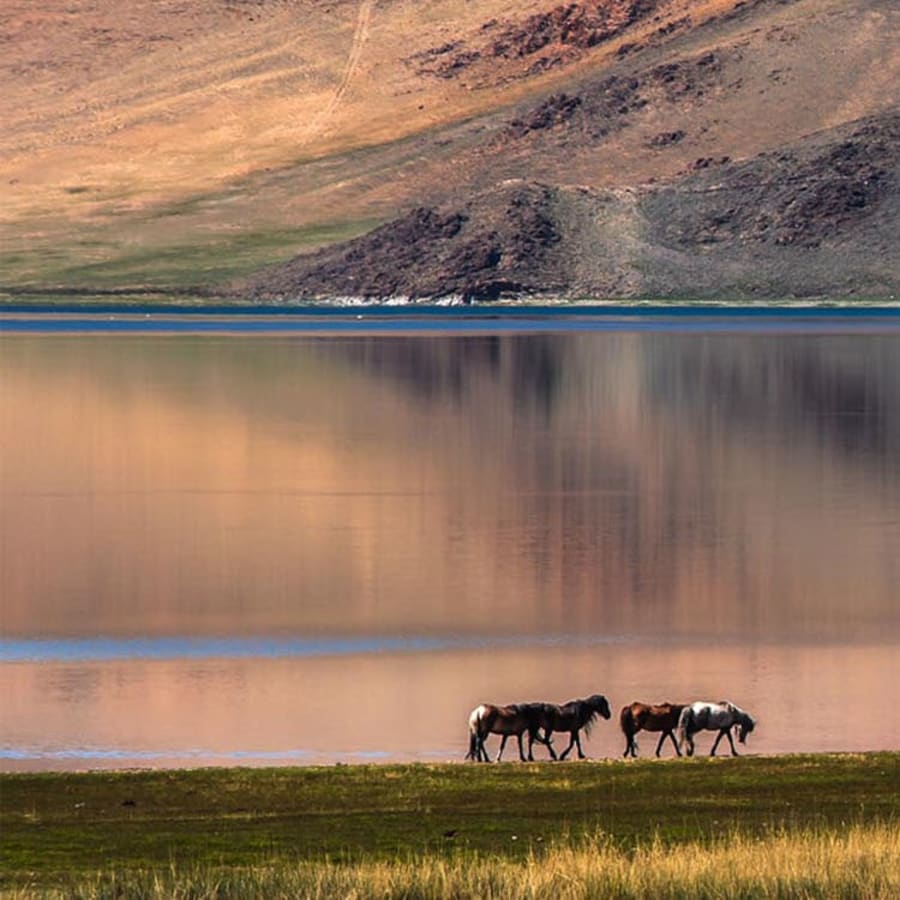 10-Day Mongolia Culture and Nature Tour with Genghis Khan Heritage