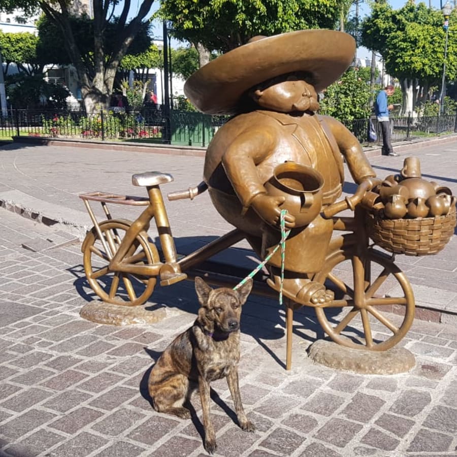 5-Hour Tlaquepaque Colonial Town Tour with El Parian and Ceramics