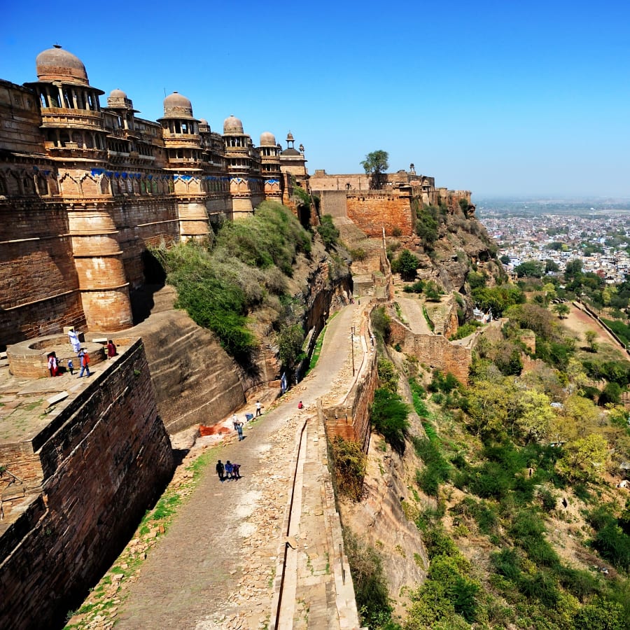10-Day Madhya Pradesh Heritage and Wildlife Safari Tour