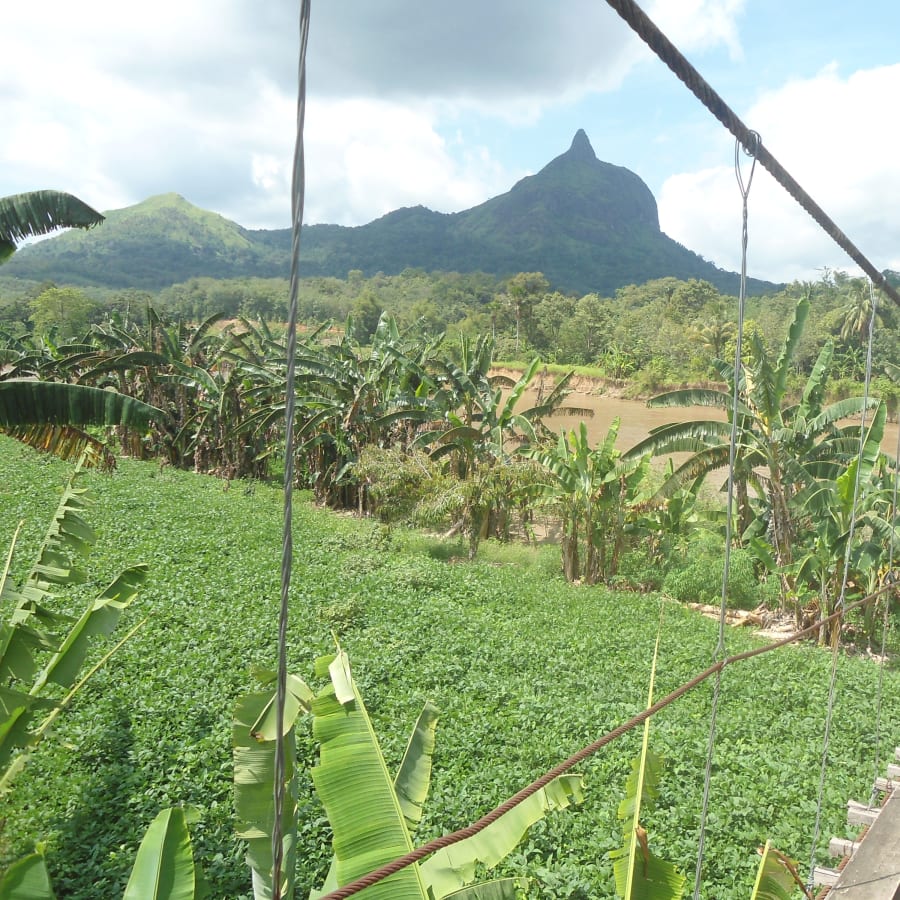 4-Day South Sumatra Tour with Dempo Mount and Sembilang National Park