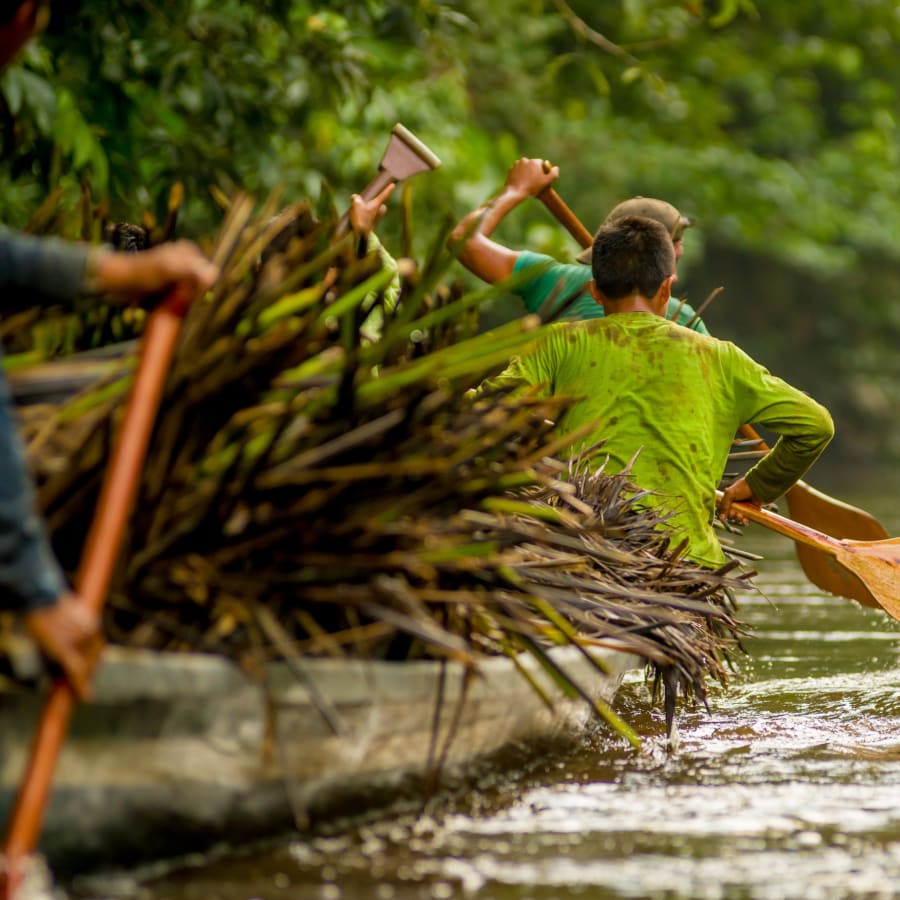 19-Day Amazon and Machu Picchu Tour through Peru, Colombia and Brazil