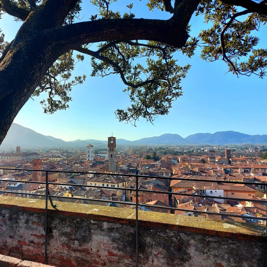 2-Hour Walking Tour of Lucca with Renaissance Walls and Guinigi Tower