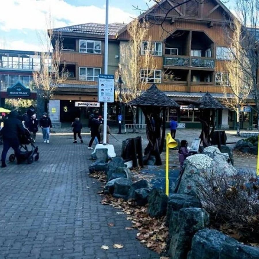 10-Hour Private Whistler Family Tour with Blackcomb Activities