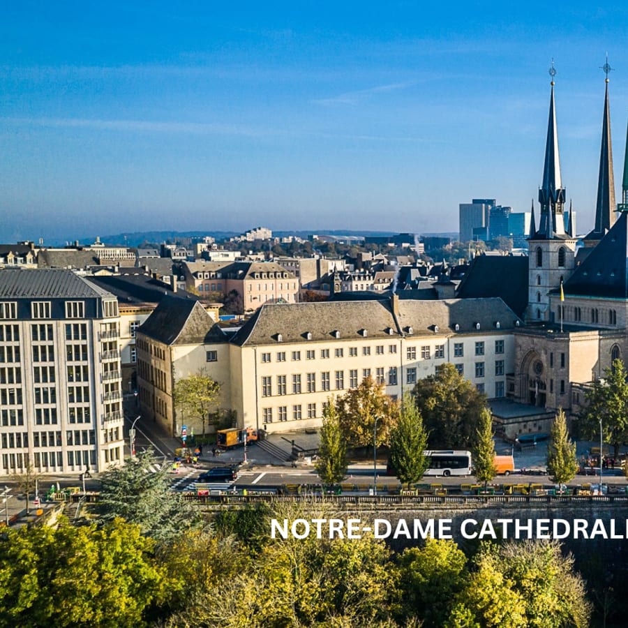 Full-Day Luxembourg Walking Tour with 1000 Years of City Secrets