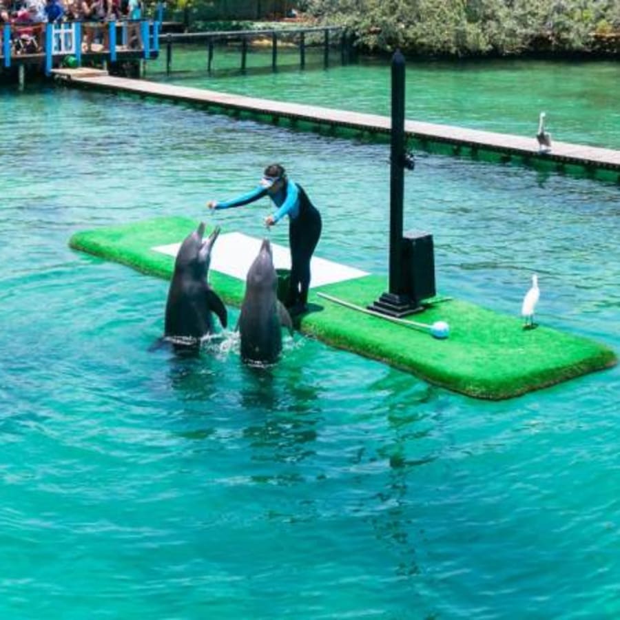 8-Hour Rosario Islands and Playa Blanca Tour with Aquarium Visit