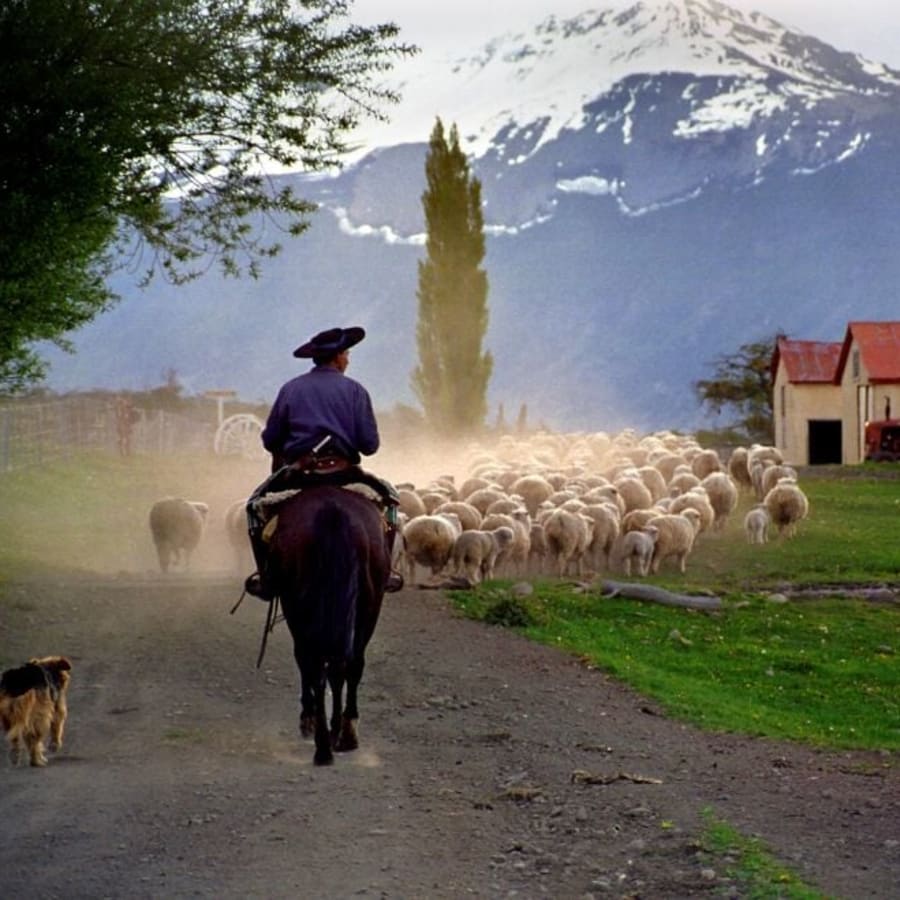 6-Hour Estancia Nibepo Aike Ranch Tour from El Calafate with Lunch