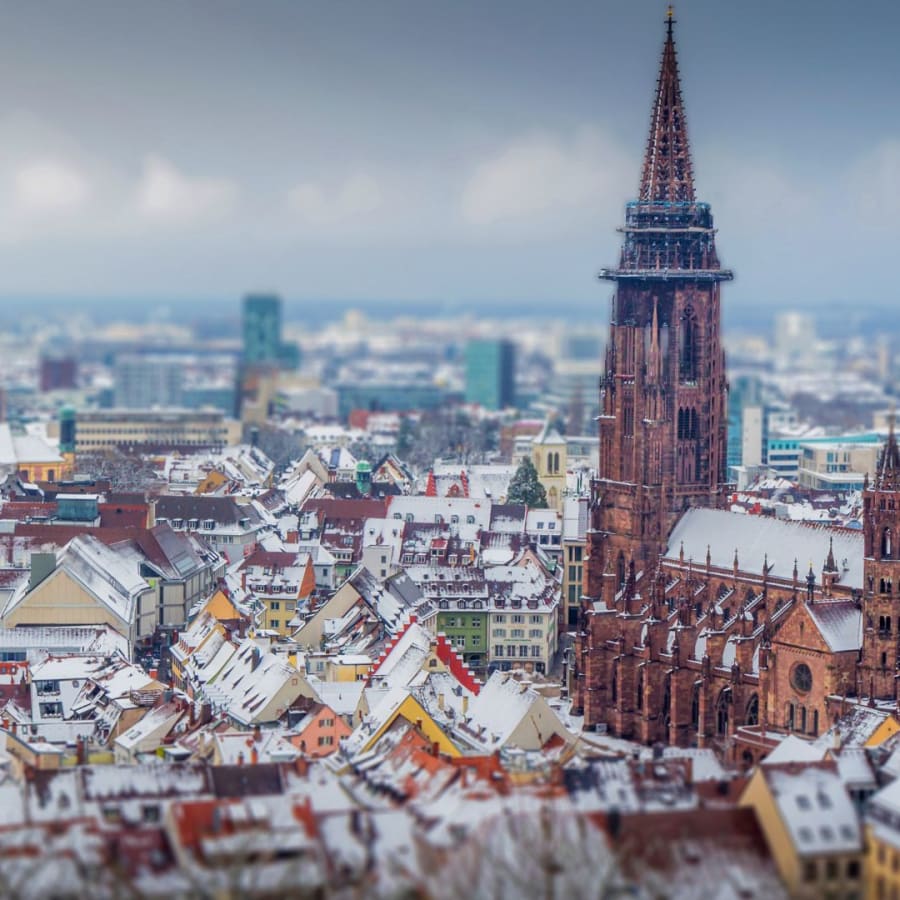 2-Hour Freiburg im Breisgau Private Walking Tour with a Local