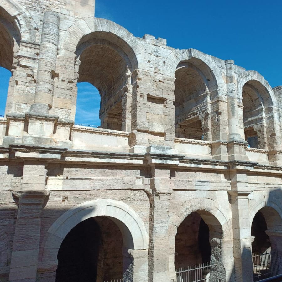 8-Hour Arles and Camargue Tour with Van Gogh and Flamingos