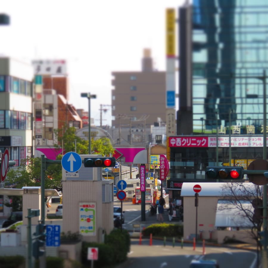 5-Hour Wakayama Cycling Tour with Customizable Themed Courses