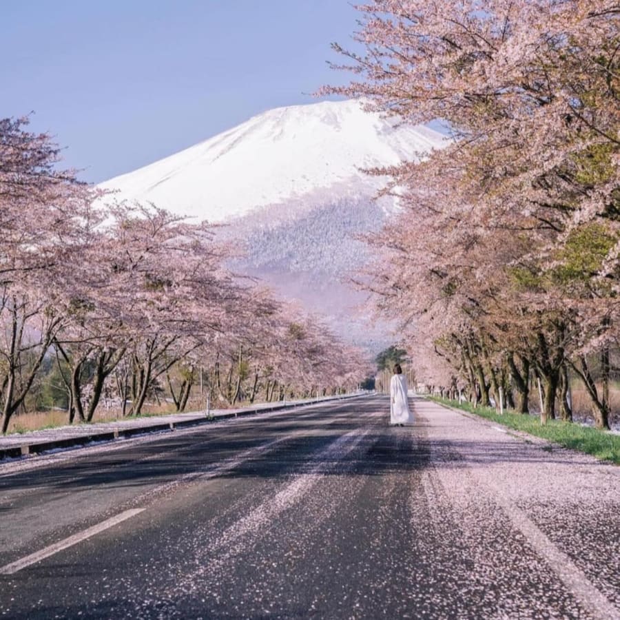 1-Day Mount Fuji Private Tour from Tokyo with Customizable Stops