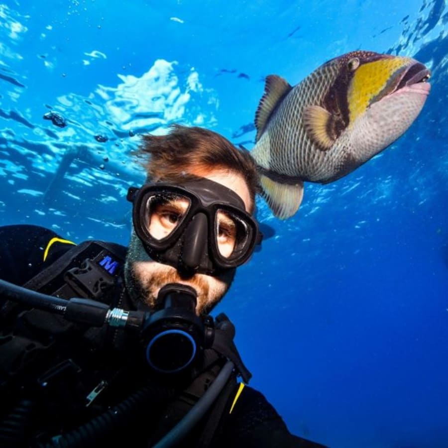 7-Hour Ras Mohamed and White Island Boat Tour from Sharm El Sheikh
