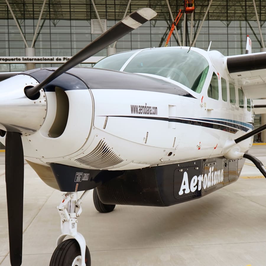 Full-Day Nazca Lines Flight from Lima with Pisco Airport Assistance