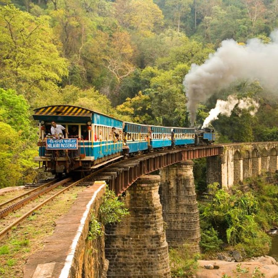 3-Day Ooty Sightseeing Tour with Coonoor Viewpoints
