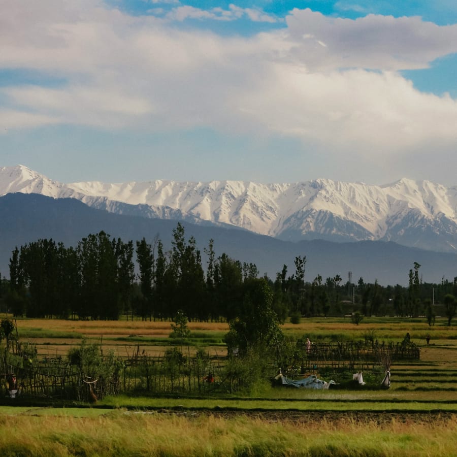 3-Day Kashmir Tour of Srinagar, Gulmarg and Pahalgam with Sufi Evening