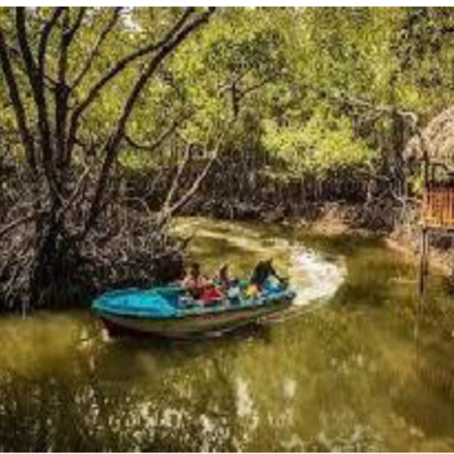 5-Day Andaman Islands Tour from Port Blair with Havelock and Neil