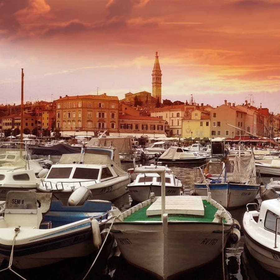 4-Hour Monkodonja and Rovinj Walking Tour with Saint Eufemia