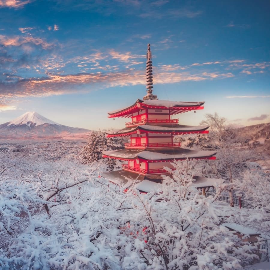 10-Hour Mount Fuji Private Tour from Tokyo with Fuji Five Lakes