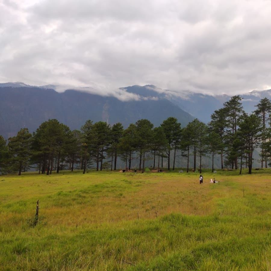 7-Day Assam to Arunachal Tour with Dong Valley First Sunrise