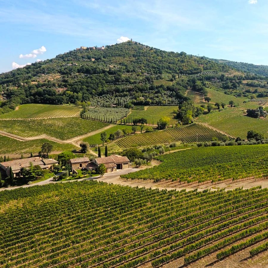 10-Hour Wine Tour of Val d'Orcia with Montepulciano and Montalcino