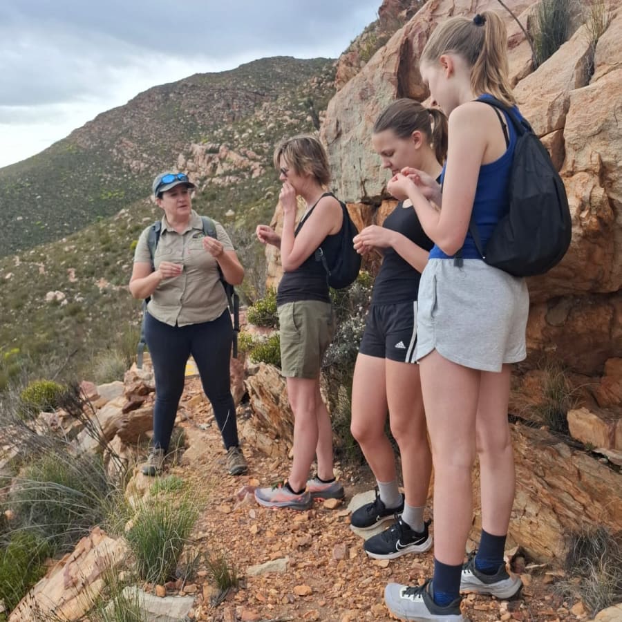 6-Hour Swartberg Mountain Hike from Oudtshoorn with Picnic