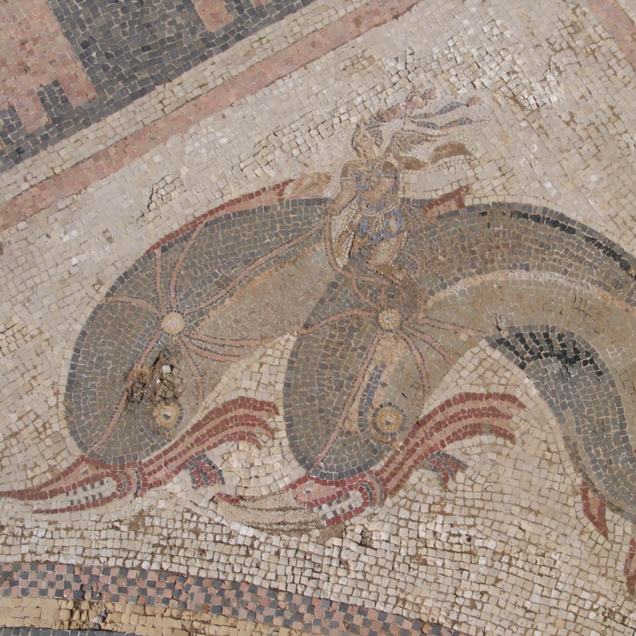 4-Hour Delos Archaeology Tour with Apollo's Mythical Birthplace
