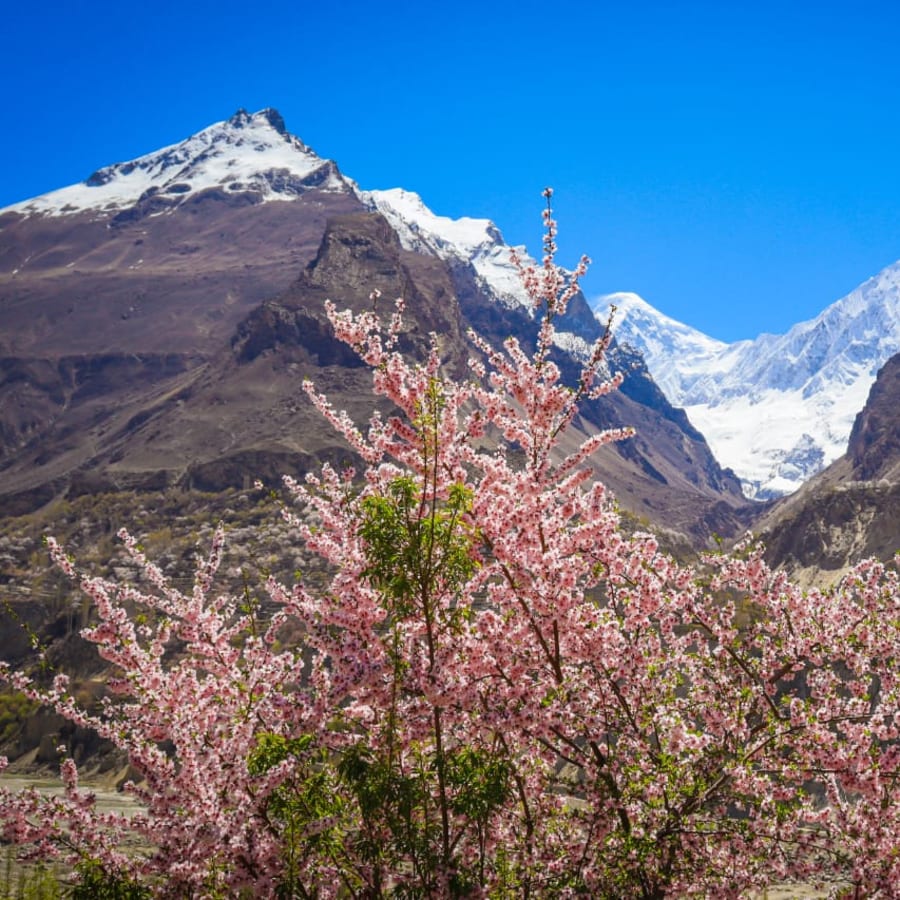10-Day North Pakistan Tour with Hunza, Khunjarab Pass and Fairy Meadows