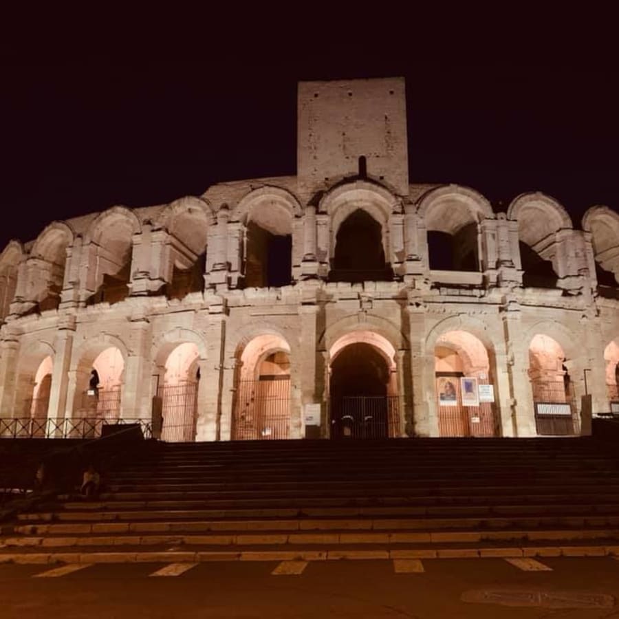 3-Hour Arles Monuments Tour with Van Gogh Sites and Camargue Treats