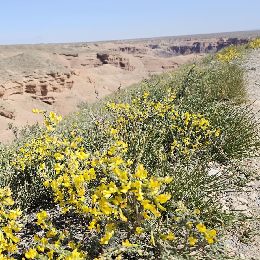 2-Day Almaty Tian Shan Lakes and Charyn Canyon Tour