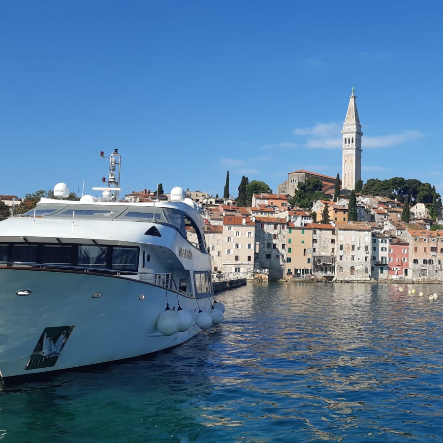 8-Hour Southern Istria Tour with Rovinj and Dvigrad