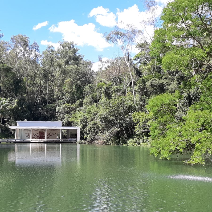 1 Dia de Visita ao Instituto Inhotim com Arte e Jardim Botânico