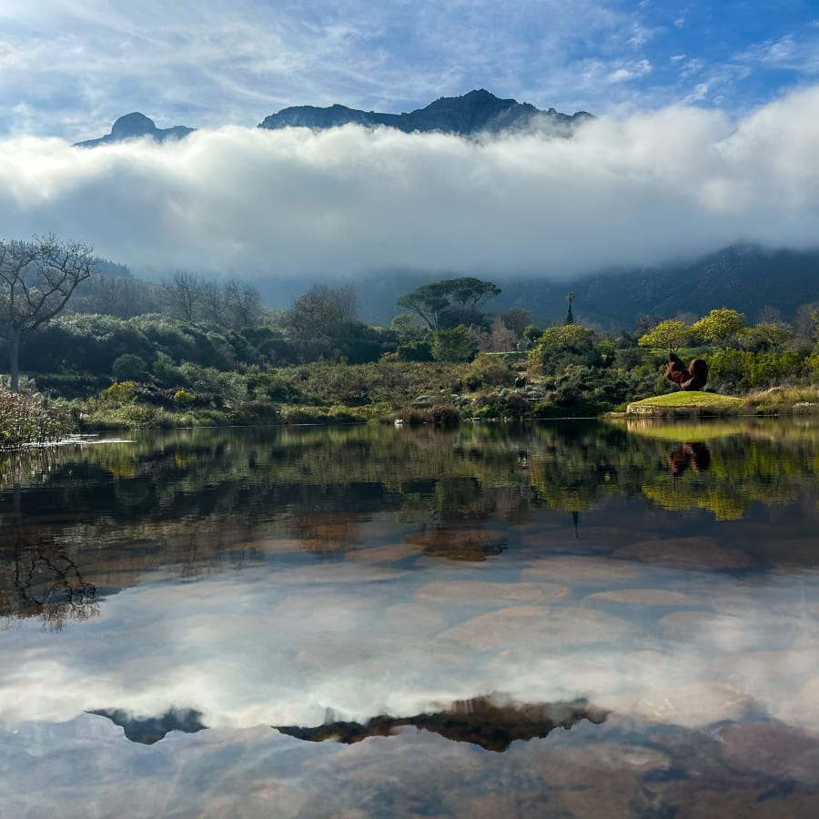 9-Hour Stellenbosch Wine and Art Tour with Dylan Lewis Garden