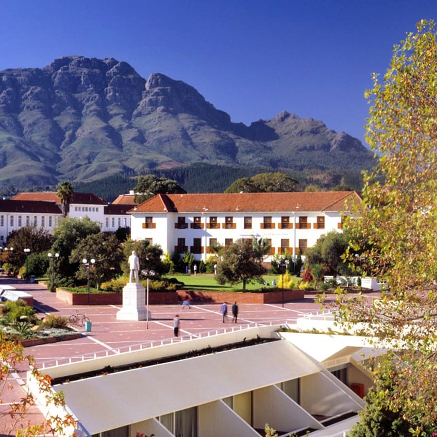 8-Hour Stellenbosch Wine Tour from Cape Town with 3 Estate Visits