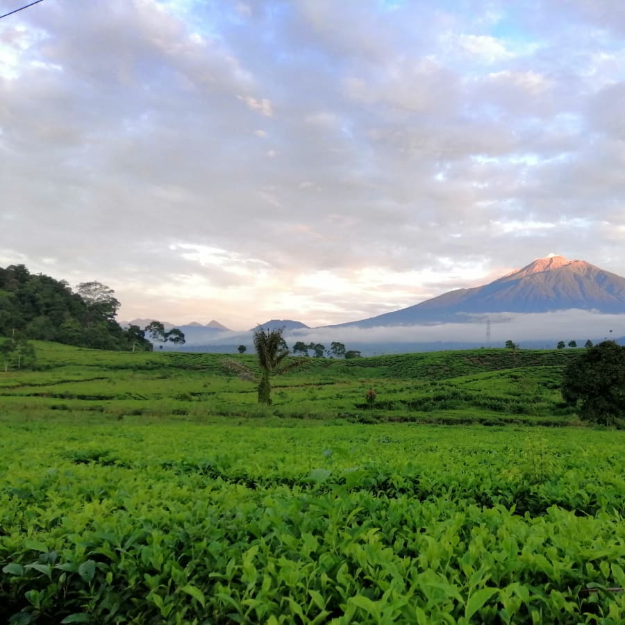 5-Day Mount Kerinci Trek from Bali with Summit Overnight