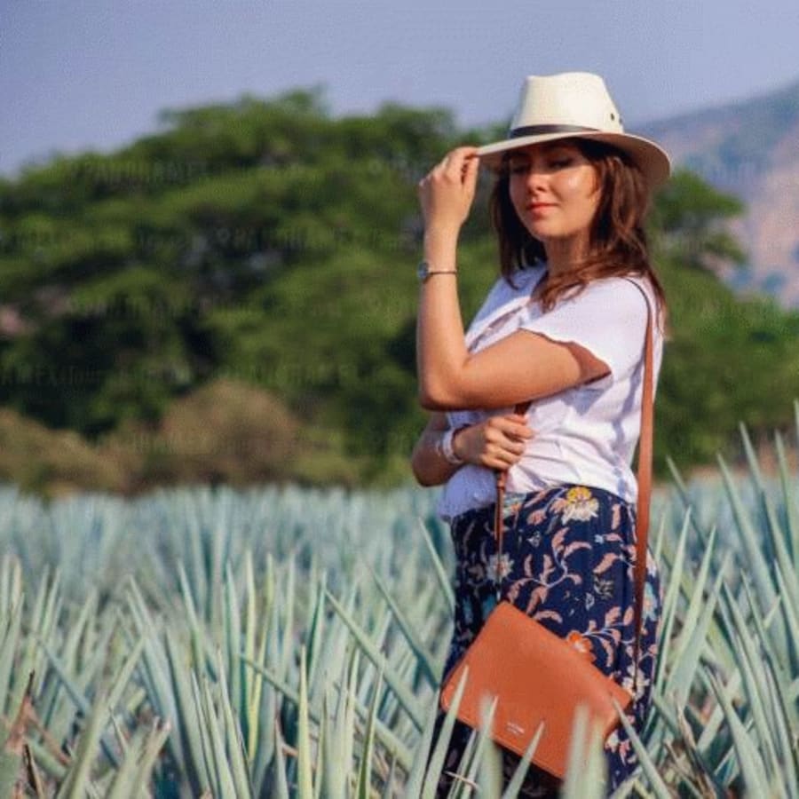 8-Hour Tequila Tour in Tequila with Casa Sauza and Casa Herradura