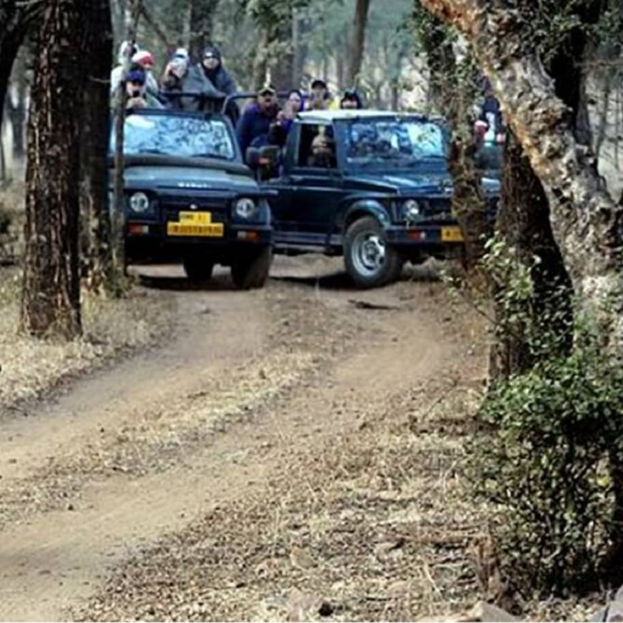 5-Day Kanha and Tamia Wildlife Tour with Tribal Village Experiences