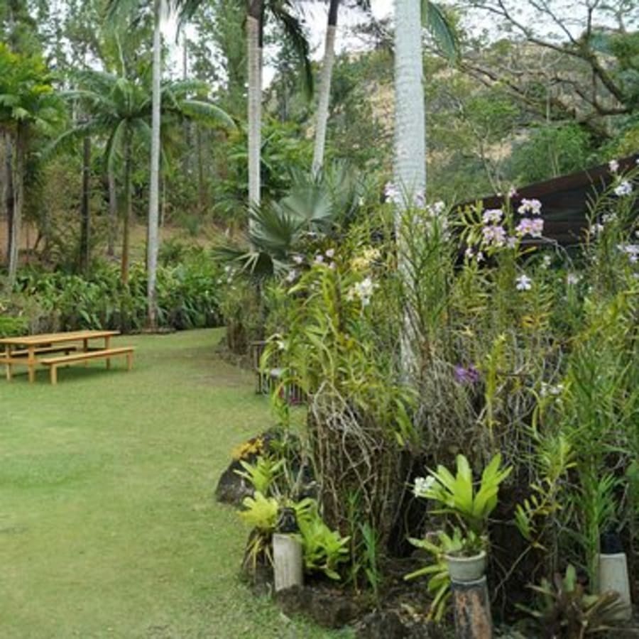 5 Hour Tour to Nadi Highlights